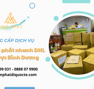 Dịch vụ chuyển phát nhanh DHL khu vực Bình Dương uy tín, chuyên nghiệp