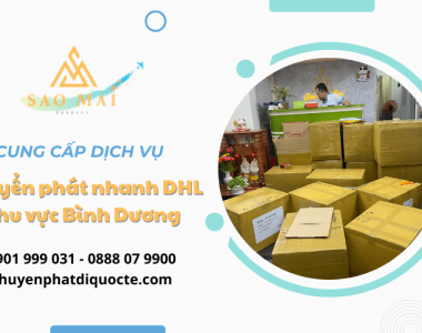 Dịch vụ chuyển phát nhanh DHL khu vực Bình Dương uy tín, chuyên nghiệp